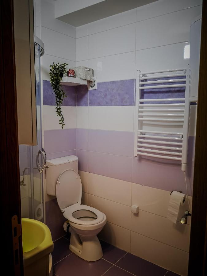 STAR apartman Brzece Kopaonik Bagian luar foto